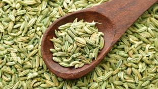 benefits of eating Fennel seeds after meal | Benefits of eating fennel seeds after meal
