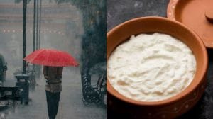 पावसाळ्यात दही खाण्याआधी ‘या’ गोष्टी लक्षात घ्या
