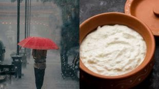 Should we eat curd during monsoon or not?