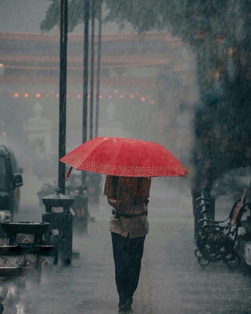 Should we eat curd during monsoon or not?