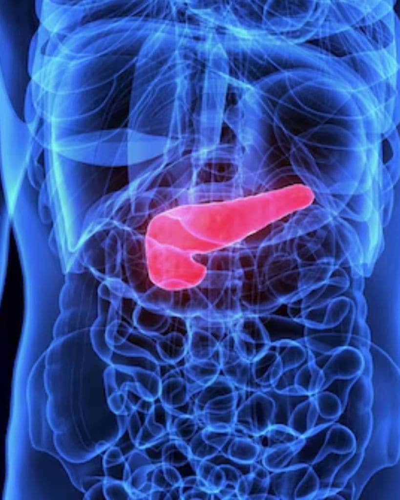 gallbladder
