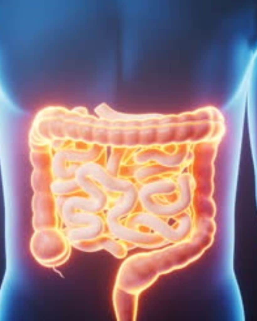 gut health | Consumption of yogurt for diabetic patients