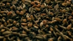 सकाळी एक ग्लास मेथी-बडीशेप पाणी; ‘हे’ ६ फायदे शरीरात घडवतील सकारात्मक बदल