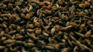 सकाळी एक ग्लास मेथी-बडीशेप पाणी; ‘हे’ ६ फायदे शरीरात घडवतील सकारात्मक बदल