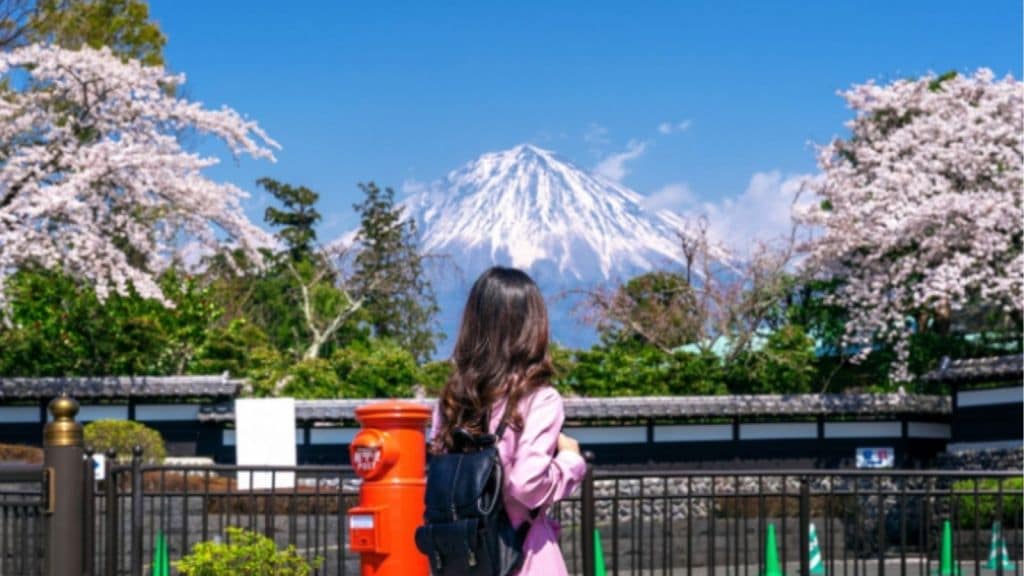 short term global programs for abroad