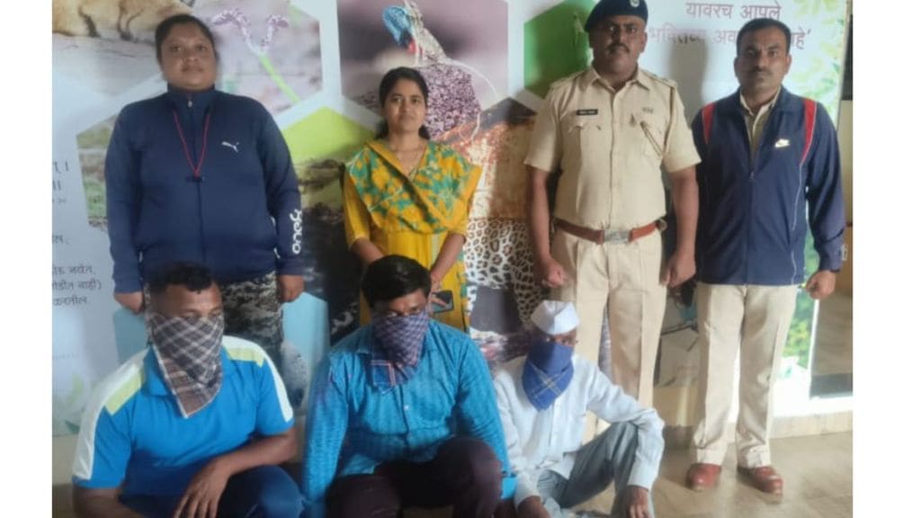 karad wild boar poaching illegal wildlife hunting  Wildlife Protection Act Maharashtra