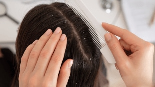 Woman hand holding her long hair with looking at damaged splitting ends of hair care problems