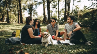 dogs with human