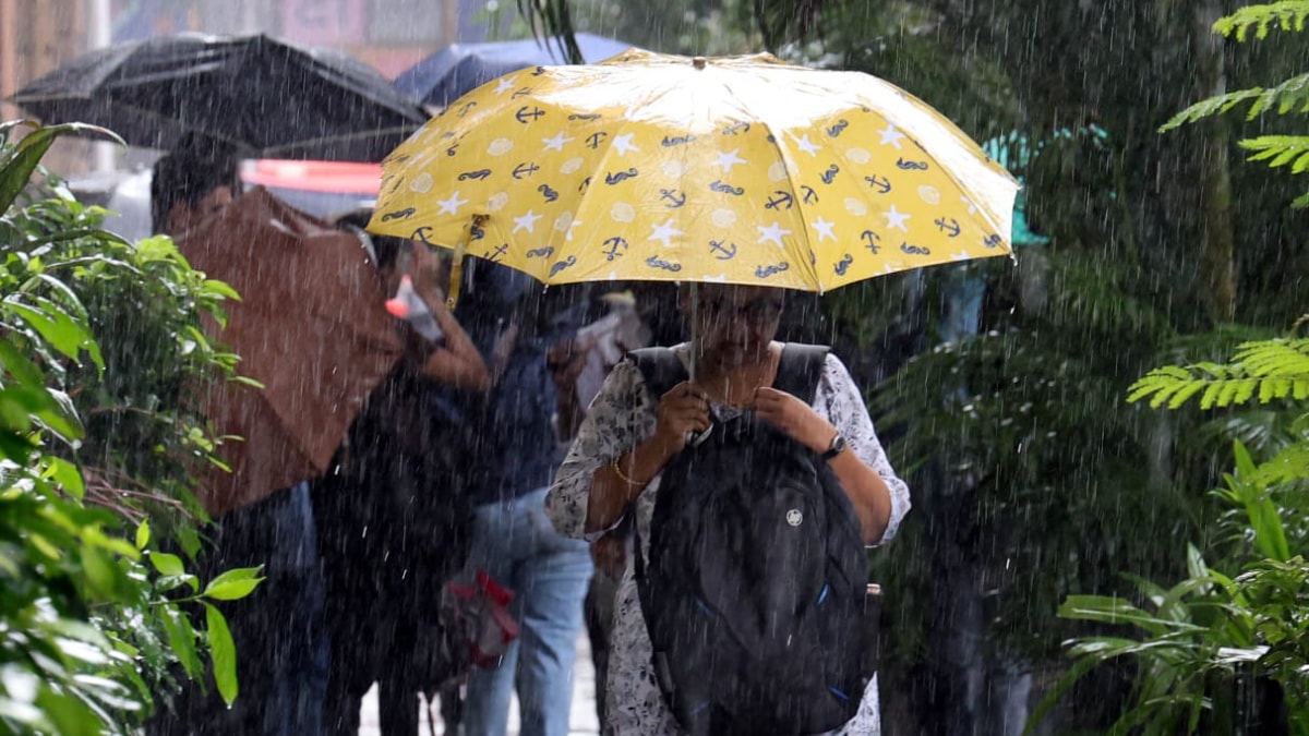 Mumbai rain heavy rainfall update, 