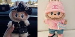 Labubu doll: बाहुली म्हणून हलक्यात घेऊ नका… वाचा, या छोट्याशा फॅशन आयकॉनच्या लूकमागचं नेमकं रहस्य….