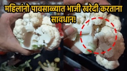 VIDEO: महिलांनो पावसाळ्यात भाजी विकत घेताना जरा जपून! फ्लॉवरच्या भाजीत सापडलं असं काही की…, खरेदी करण्याआधी १०० वेळा विचार कराल