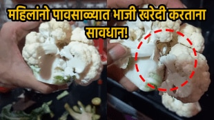 Viral video of vegetables in monsoon insect in cauliflower vegetable pests monsoon shocking video viral on social media