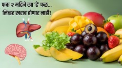 पावसाळ्यात ५० रुपयांना मिळणारा ‘या’ फळाचा वाटा फक्त २ महिने खाल्ल्यास लिव्हर खराब होणार नाही! मेंदूची ताकदही होते दुप्पट
