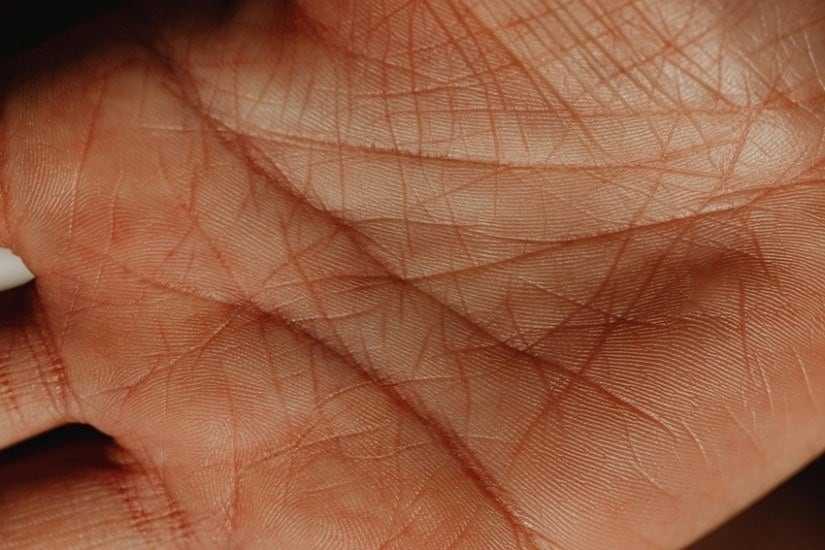 An age old tradition meets modern questions can AI validate palm reading
