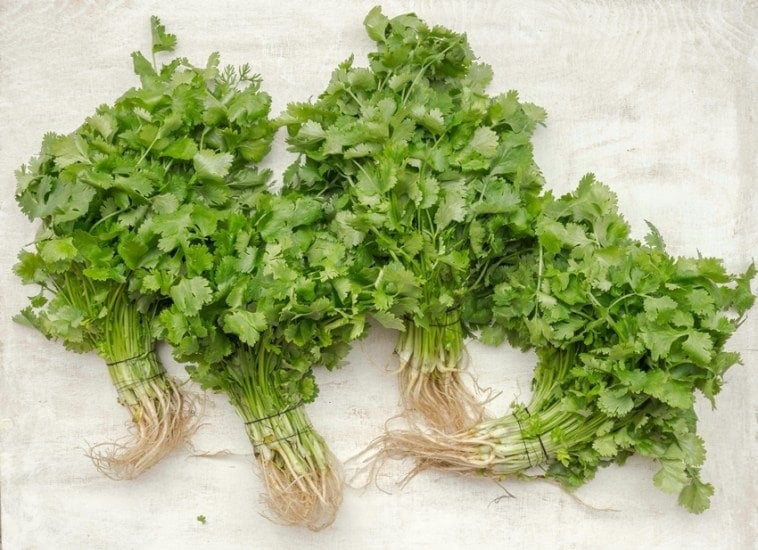 Eat These 7 Foods Daily to Detox and Strengthen Your Kidneys
