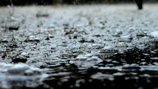 Know Why Ayurveda Recommends Avoiding Sour Foods in the Rainy Season