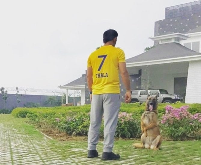 MS Dhoni at 44 The Man The Leader The Award-Winning Icon