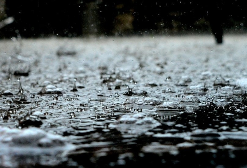 Why You Should Avoid Sour Foods During Monsoon An Ayurvedic Perspective