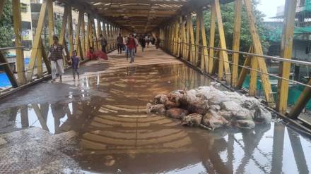 dirty water a on Satis Bridge in Kalyan