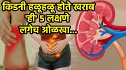 किडनी खराब झालीय हे आधीच कळू शकतं! ‘ही’ ५ लक्षणे लोकांच्या लक्षातच येत नाहीत, जाणून घ्या डॉक्टर नेमकं काय सांगतात