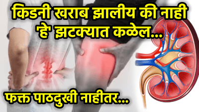 किडनी खराब झाली की शरीराच्या ‘या’ ६ भागात होतात वेदना, चुकूनही दुर्लक्ष करू नका, नाहीतर…