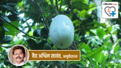 Health Special: रक्तातली उष्णता कमी करणारं हे गुणकारी फळ तुम्हाला माहितेय का?
