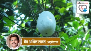 Ash Gourd