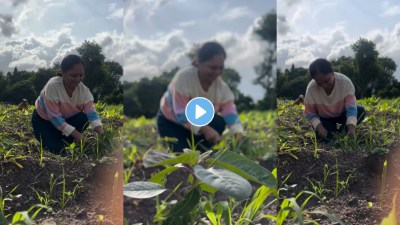 बीज अंकुरे अंकुरे! ‘लाखात एक आमचा दादा’ फेम अभिनेत्री रमली शेतकामात; चाहत्यांकडून कौतुक