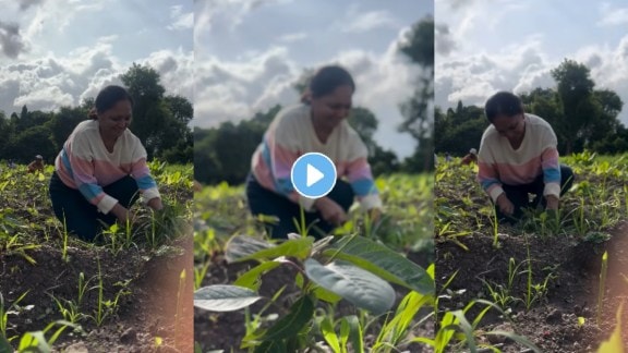 lakhat ek amcha dada serial fame actress rajashri nikam share video of working in farm
