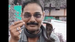 snake rescuer drape Cobra around his neck