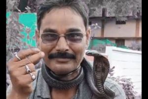 snake rescuer drape Cobra around his neck