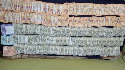 Odisha Forest Official Raid Video : वनअधिकारी निघाला कोट्यधीश! गुप्त तिजोरीत सापडले १.४३ कोटी रुपये, दीड किलो सोने अन्…; ५ महिन्यांत होणार होता निवृत्त