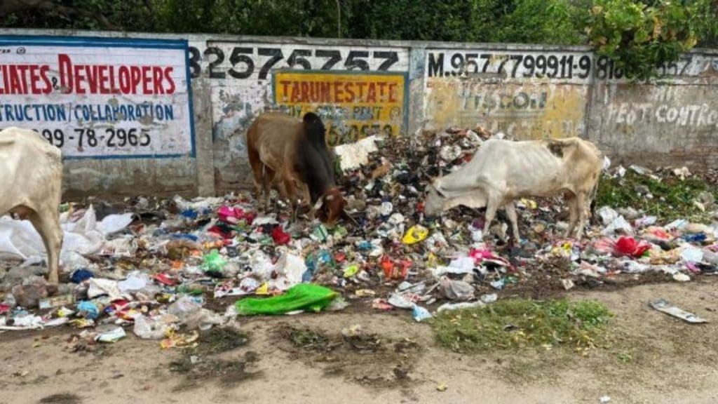 एक फ्रेंच महिलेने लिहिलेली सोशल मीडिया पोस्ट सध्या चर्चेचा विषय ठरताना दिसत आहे. (एक्सप्रेस फोटो)
