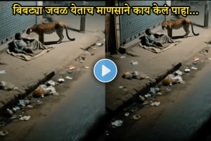 Leopard video leaopard sniffs a man and went without attack Leopard video viral on social medi