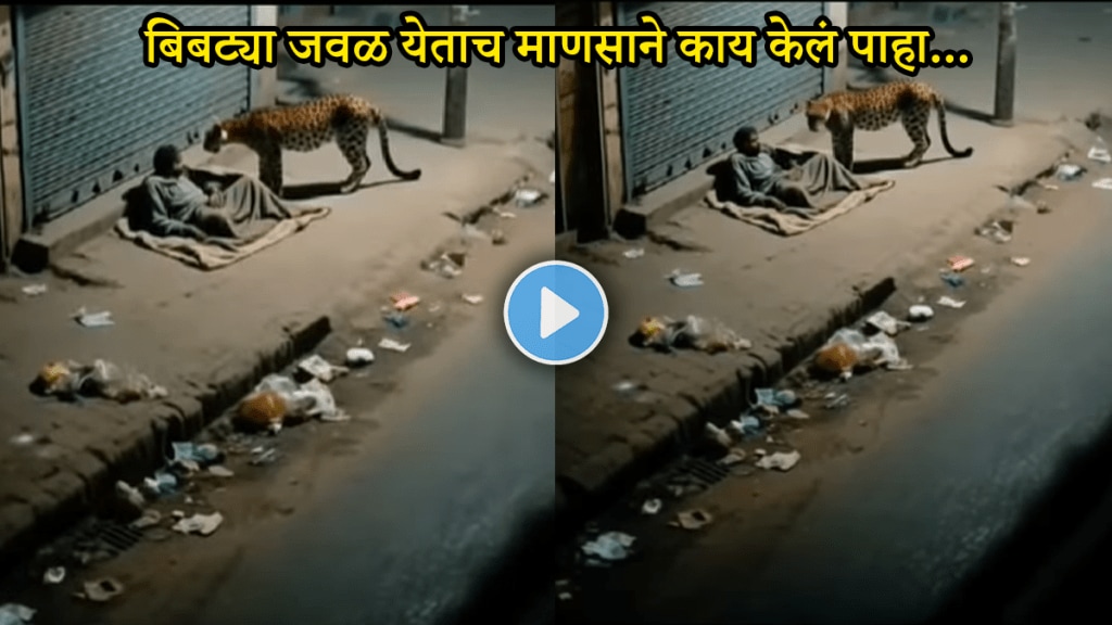 Leopard video leaopard sniffs a man and went without attack Leopard video viral on social medi