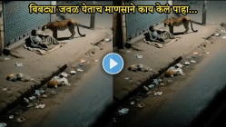 VIDEO: बिबट्या मध्यरात्री रस्त्यावर बसलेल्या माणसाजवळ गेला अन्…, माणसाच्या ‘या’ एका कृतीमुळे थोडक्यात बचावला, नेमकं काय घडलं पाहा…