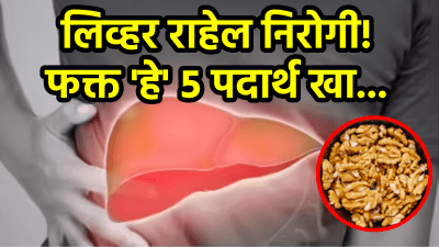 लिव्हर खराब होण्याचा धोका होईल कमी! ‘हे’ ५ पदार्थ खाल्ले तर लिव्हर होईल एकदम साफ