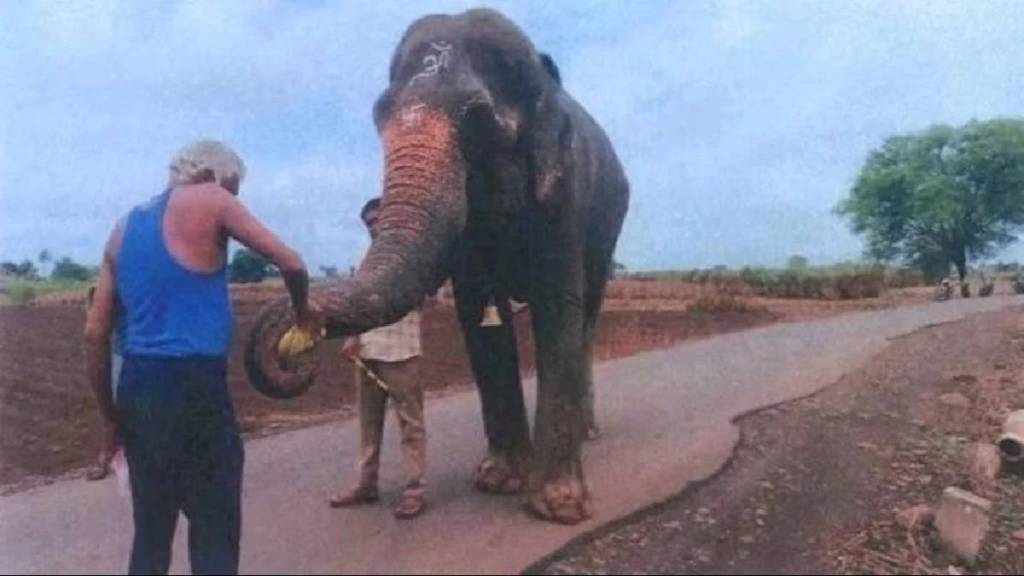 kolhapur leaders demand return of elephant mahadevi