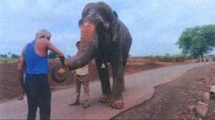 Mahadevi elephant controversy will mahadevi return to kolhapur jain math Kolhapur
