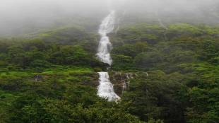 The district administration aims to make Palghar a tourist district and provide sustainable employment to tribal brothers