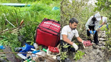 Crisis in mangrove forests in Mumbai and Navi Mumbai