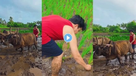 marathi actor abhijeet kelkar farming in kokan share video share on social media