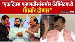 MP Sanjay Raut has criticized the government