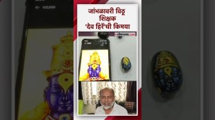 आषाढी एकादशीला जांभळावर रेखाटली विठू माऊली | Ashadhi Ekadashi