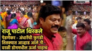 Raj Thackeray and Uddhav Thackeray came together at Worli Dome the enthusiasm of Shiv Sena and MNS workers and leaders was evident