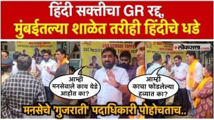MNS activists go straight to school over Marathi vs Hindi debate