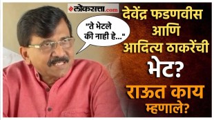 Sanjay Raut gave a reaction over Devendra Fadnavis and Aditya Thackeray meet