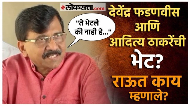 Sanjay Raut gave a reaction over Devendra Fadnavis and Aditya Thackeray meet