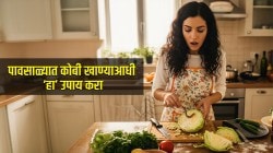 फुलकोबी-पत्ताकोबीमध्ये दिसतात किडे? कोबी बाजारातून आणल्यानंतर २ रुपयांचा ‘हा’ उपाय करा; लपलेले सर्व किडे आपोआप पडतील बाहेर