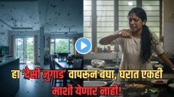 तुमच्याही घरभर माश्या भिरभिरतात? करून पाहा फक्त ‘हा’ सोपा उपाय; झटक्यात गायब होतील सर्व माशा, वाचवा त्रास व पैसे, पाहा Video